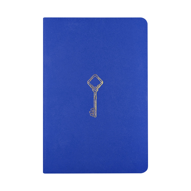 NOTEBOOK FLEX GOLD (21BL) - SURTIDO EXPOSITOR 12PZS.