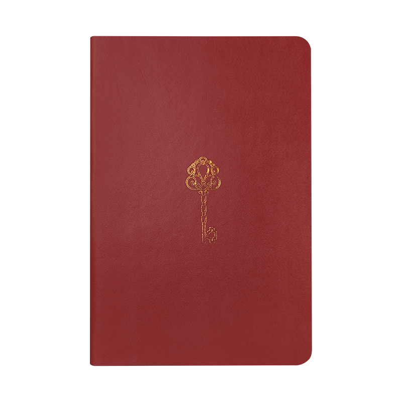 NOTEBOOK FLEX GOLD (21BL) - SURTIDO EXPOSITOR 12PZS.