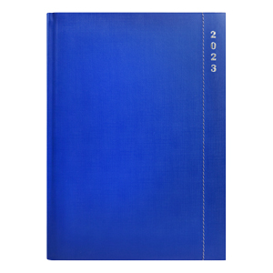 Agenda SKYPE 24DP