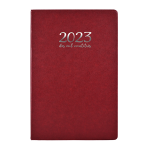 Agenda TURIA 21DZ