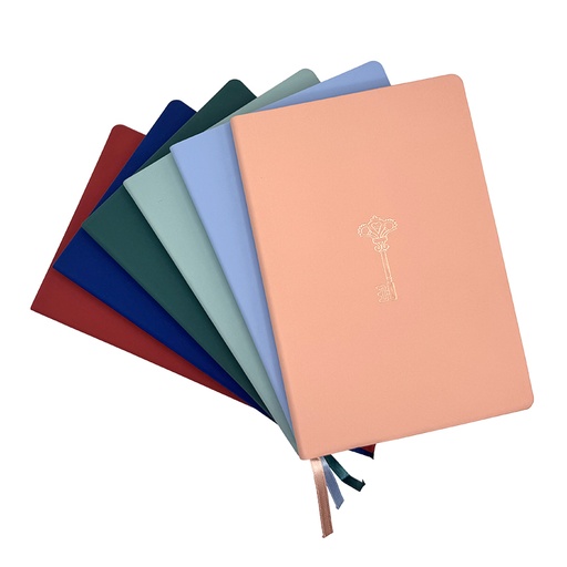 NOTEBOOK FLEX GOLD (21BL) - SURTIDO EXPOSITOR 12PZS.