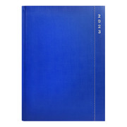 Agenda SKYPE 24DP